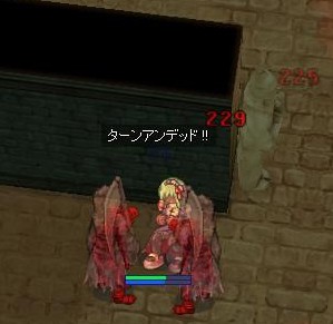 h137.jpg